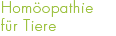 Wirbelsäulentherapie nach Dorn